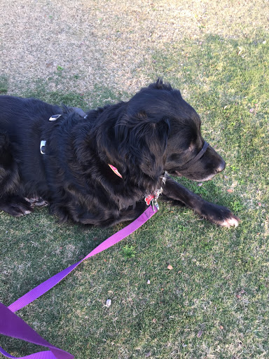 Recreation Center «Rio Vista Recreation Center», reviews and photos, 8866 W Thunderbird Rd, Peoria, AZ 85381, USA