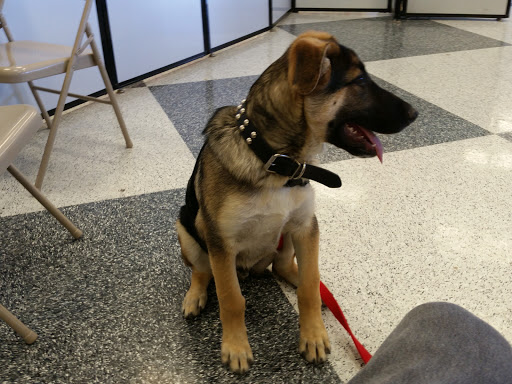 Pet Supply Store «Petco Animal Supplies», reviews and photos, 1835 E Guadalupe Rd #112, Tempe, AZ 85283, USA