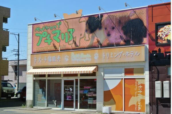 ペットショップ 犬の家＆猫の里 福井店