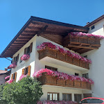 Photo n°1 de l'avis de Orsola.l fait le 21/08/2023 à 11:52 sur le  Hotel Peter à Monte San Pietro