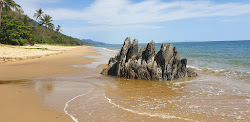 Buchans Point Beach'in fotoğrafı çok temiz temizlik seviyesi ile