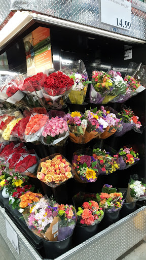 Warehouse store «Costco Wholesale», reviews and photos, 218 Lower Mountain View Dr, Colchester, VT 05446, USA