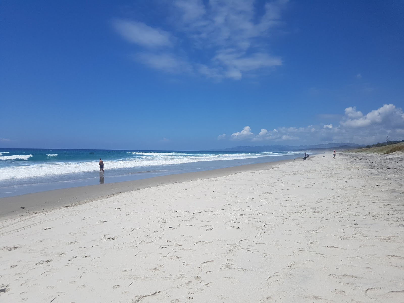 Forestry Beach的照片 带有明亮的沙子表面