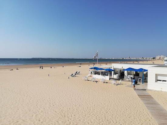 Booksellers beach