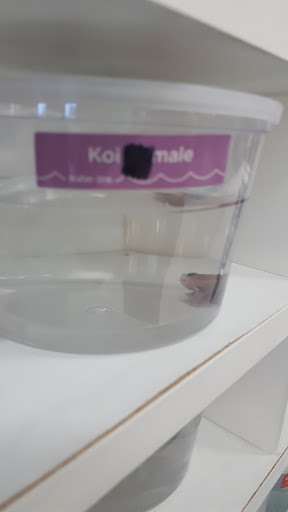 Pet Supply Store «Petco Animal Supplies», reviews and photos, 2255 East Ridge Road, Irondequoit, NY 14622, USA