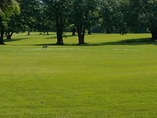 Golf Course «Glendoveer Golf & Tennis», reviews and photos, 14015 NE Glisan St, Portland, OR 97230, USA