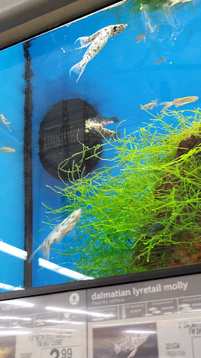 Pet Supply Store «Petco Animal Supplies», reviews and photos, 1065 Kennedy Rd, Windsor, CT 06095, USA