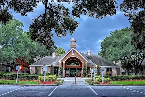 Newport Colony Apartments image