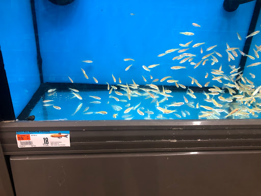 Pet Supply Store «Pet Supplies Plus», reviews and photos, 375 Paterson Ave #105, Wallington, NJ 07057, USA