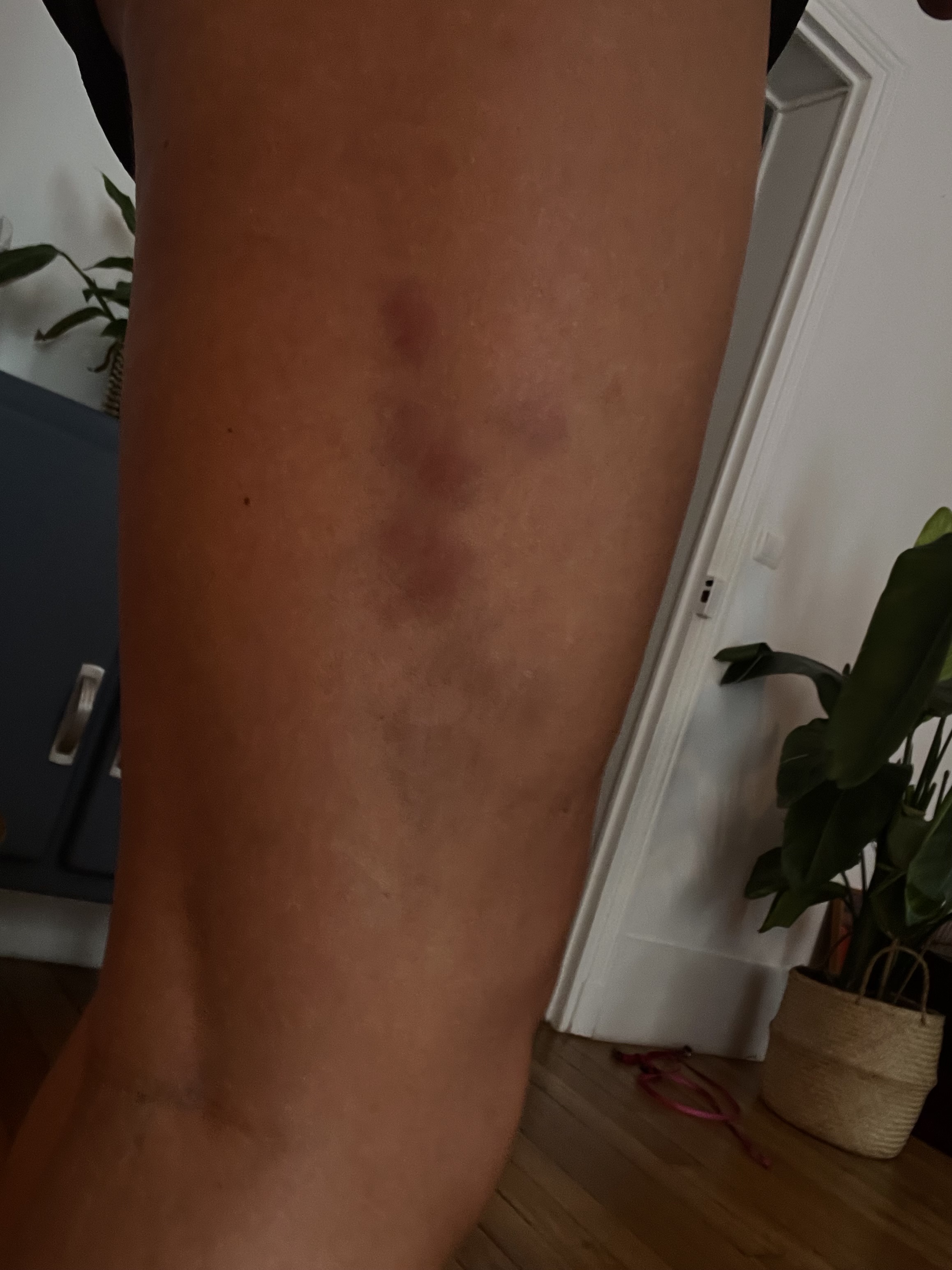 Photo n° 3 de l'avis de RODRIGUES.e fait le 31/10/2022 à 11:19