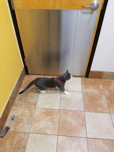 Pet Supply Store «PetSmart», reviews and photos, 10600 Melody Dr, Northglenn, CO 80234, USA