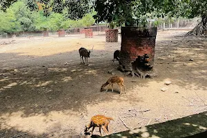 Patna Zoo Bus Stop image