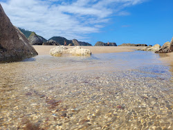 Photo de Playa el Vivero zone sauvage