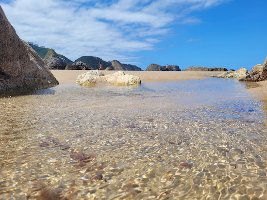 Playa el Vivero