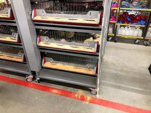 Home Improvement Store «Tractor Supply Co.», reviews and photos, 134 Bridge St, Pelham, NH 03076, USA