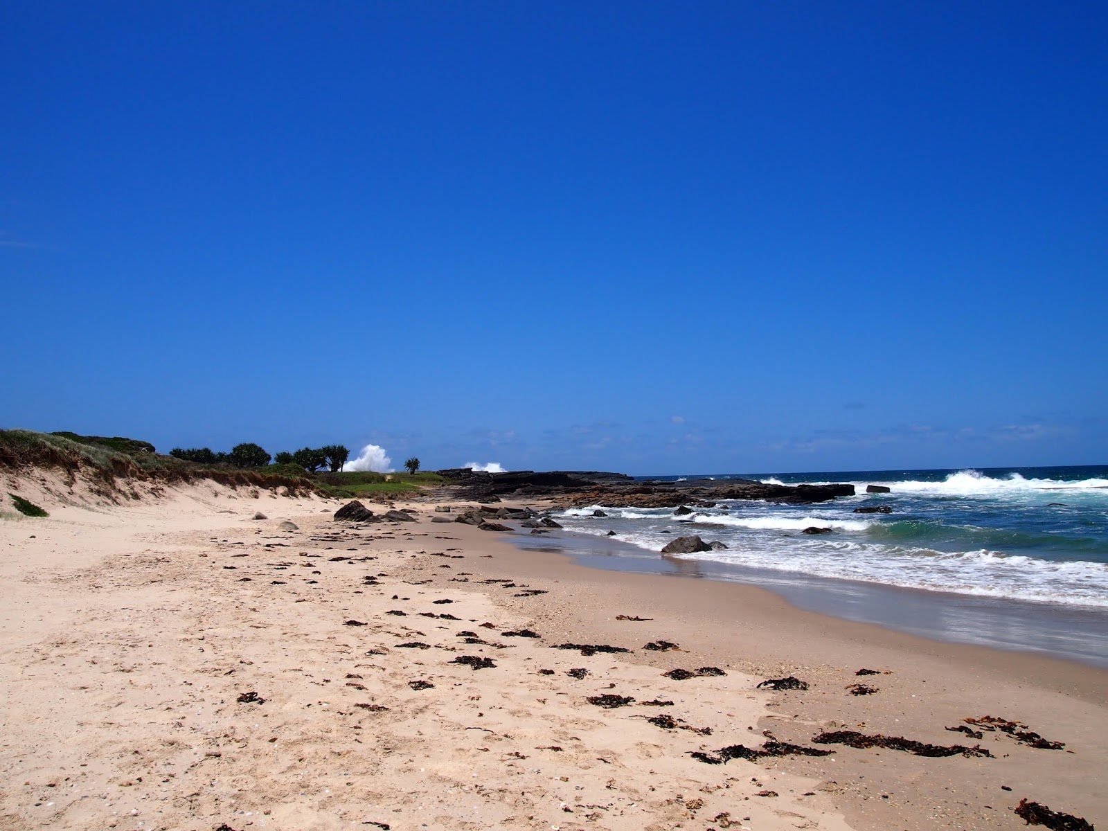 Fotografija Bluff Beach priljubljeno mesto med poznavalci sprostitve