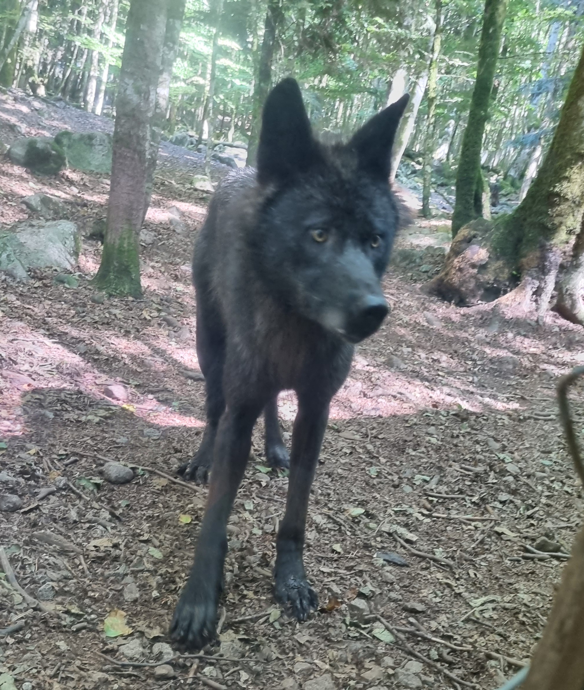 Photo n° 11 de l'avis de p.d fait le 14/07/2023 à 17:06