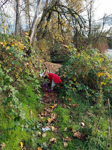 RV Park «Shamrock Village RV Park», reviews and photos, 4531 Franklin Blvd, Eugene, OR 97403, USA