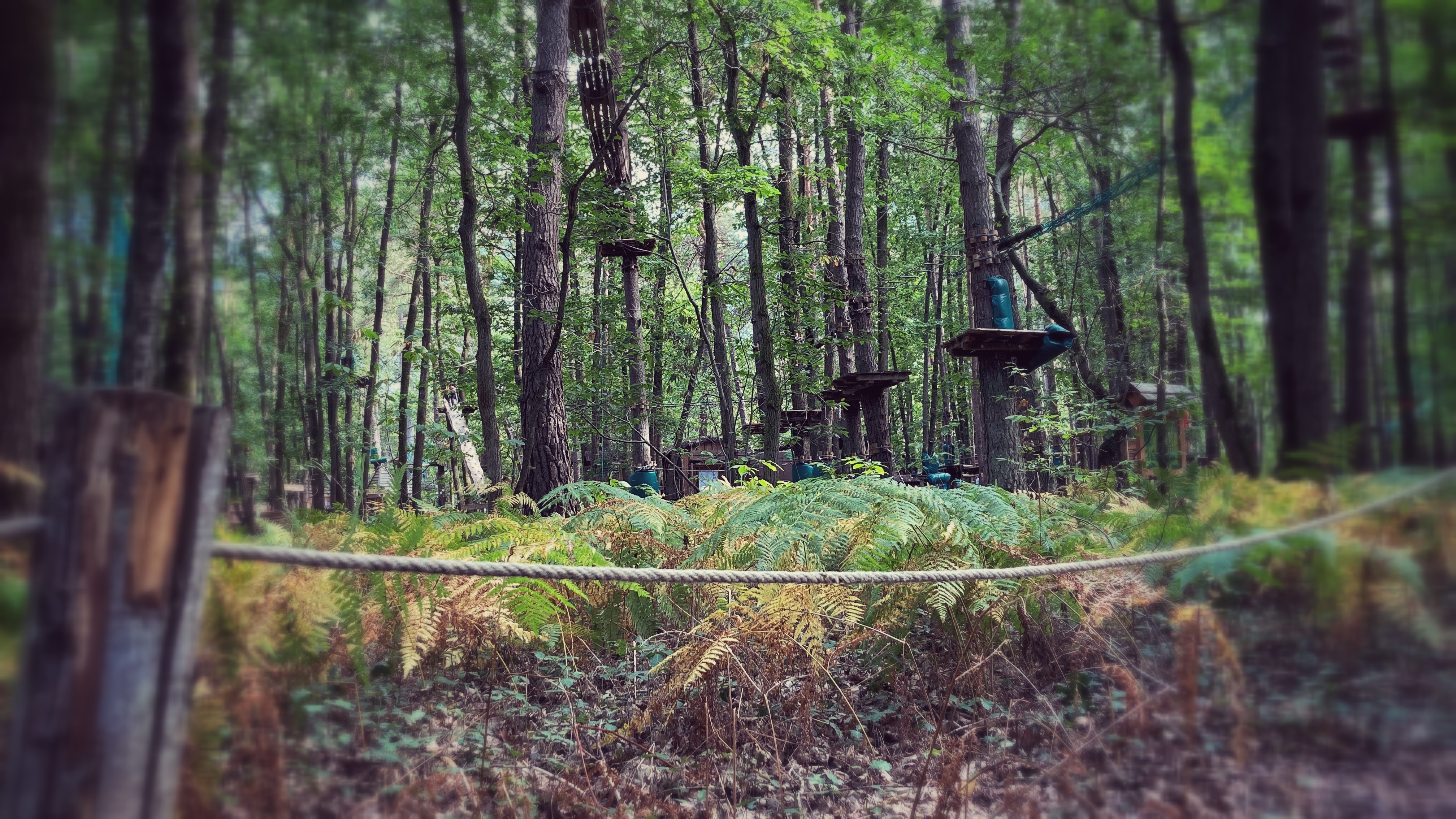 Photo n° 5 de l'avis de Stéphane.' fait le 18/08/2020 à 13:25