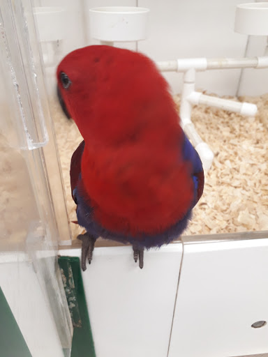 Shopping Mall «White Plains Mall», reviews and photos, 200 Hamilton Ave, White Plains, NY 10601, USA