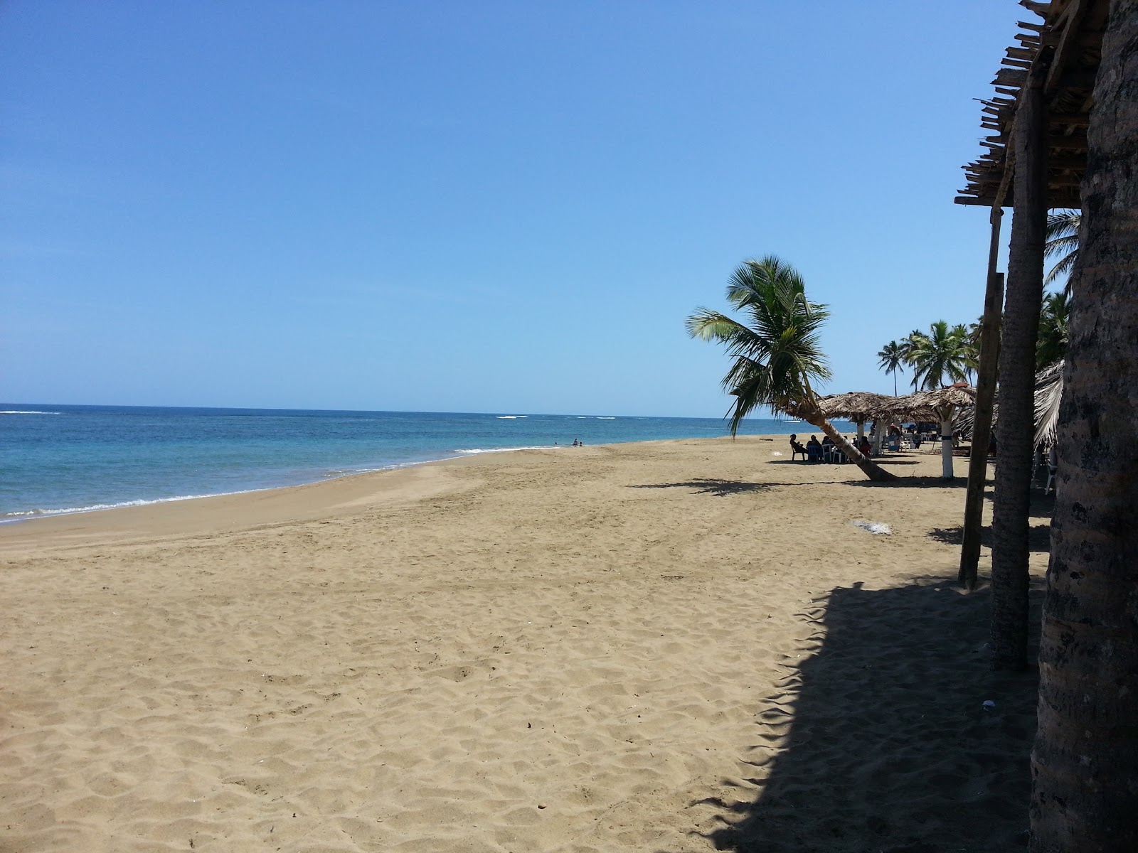 Playa los Gringos的照片 带有碧绿色纯水表面
