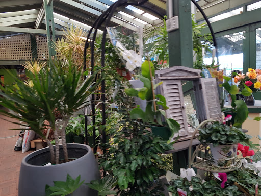 Plant shops in Perth