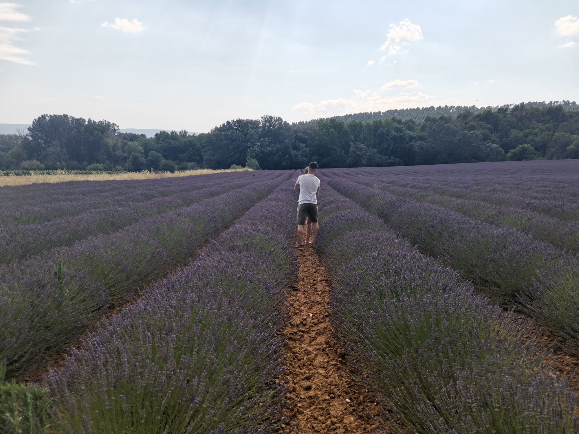 Photo n° 2 de l'avis de LAURA.A fait le 22/07/2021 à 12:08