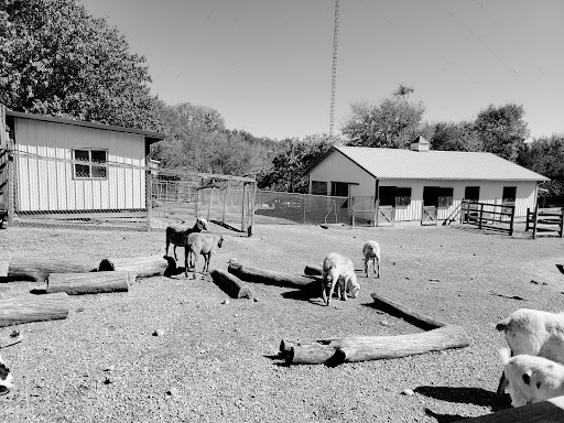 Zoo «Luray Zoo A Rescue Zoo», reviews and photos, 1087 U.S. 211, Luray, VA 22835, USA