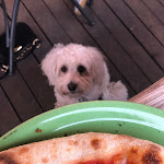 Photo n°1 de l'avis de Attila.� fait le 08/06/2022 à 18:49 sur le  Kiste' - La Pizza Artigianale......It's the second restaurant coming from the tower. à Pisa