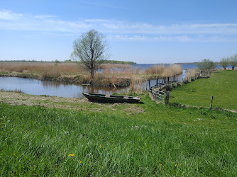 Parkeren www.natuurexcursiesijsseldelta.nl