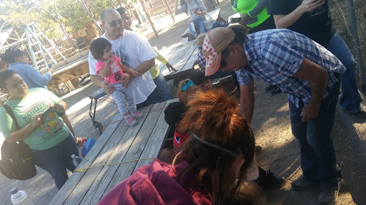 Zoo «Jr Pony Parties», reviews and photos, 1744 N Leonard Ln, Las Vegas, NV 89108, USA