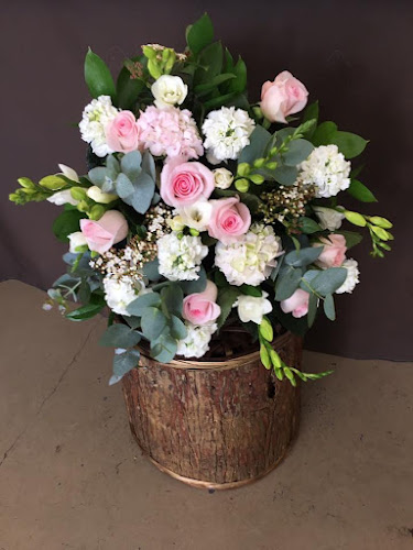 Reviews of Albany Florist in Auckland - Florist