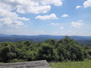 Valhalla Vineyards - photo 70
