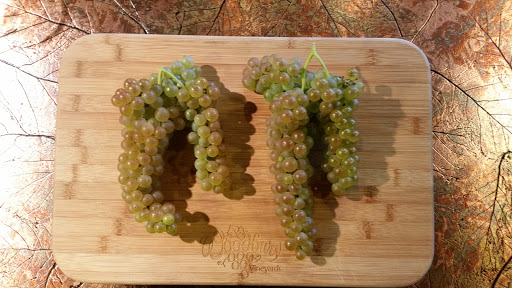 Winery «Woodbury Winery & Vineyards», reviews and photos, 3215 S Roberts Rd, Fredonia, NY 14063, USA