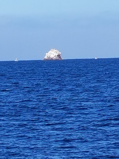 Gift Shop «Two Harbors General Store», reviews and photos, 1 Banning House Rd, Avalon, CA 90704, USA