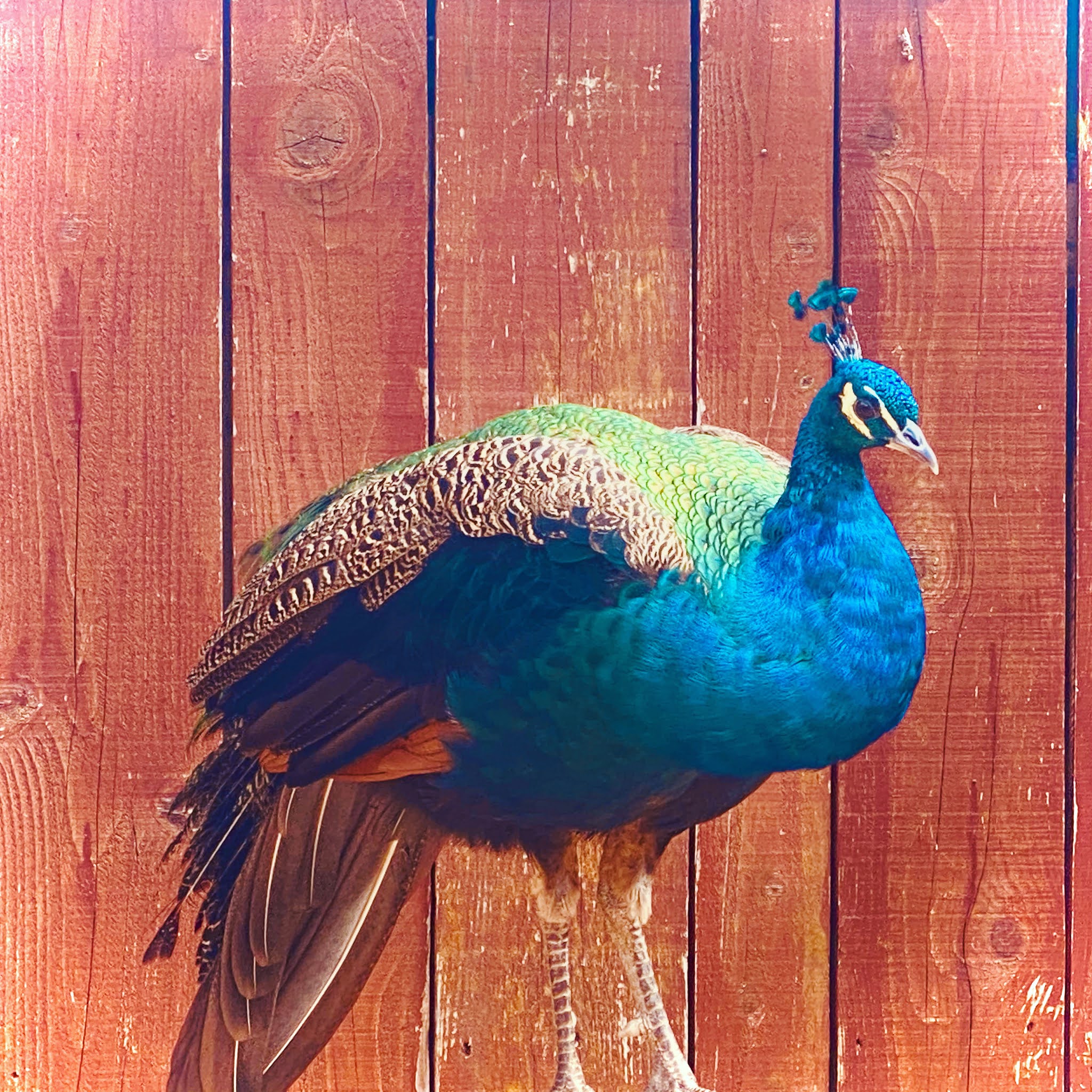 Photo n° 3 de l'avis de Gwénaël.r fait le 07/12/2020 à 12:33