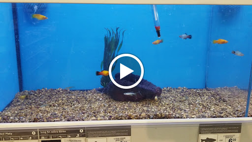 Pet Supply Store «Petco Animal Supplies», reviews and photos, 1320 E Lincoln Way p101, Sparks, NV 89434, USA