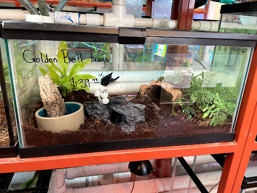 Pet Store «Animal Ark», reviews and photos, 175 S 500 E St, American Fork, UT 84003, USA