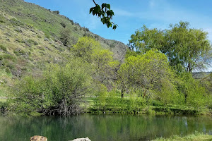 Hagelstein County Park