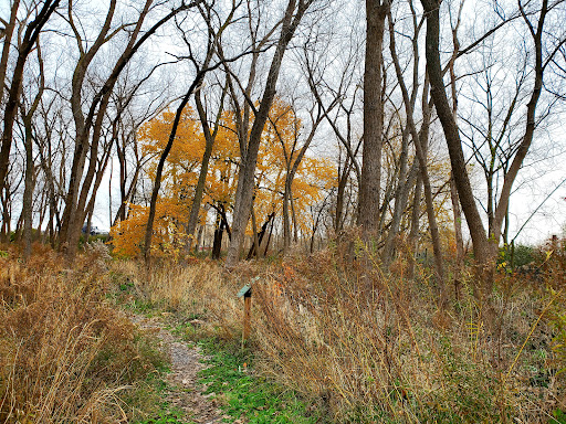 Nature Preserve «Tifft Nature Preserve», reviews and photos, 1200 Fuhrmann Boulevard, Buffalo, NY 14203, USA