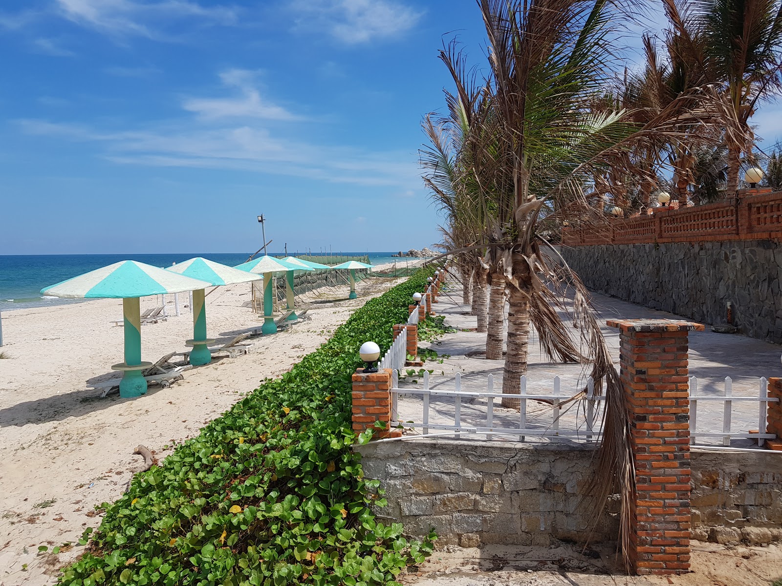Tien Thanh Beach'in fotoğrafı - rahatlamayı sevenler arasında popüler bir yer