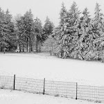 Photo n°1 de l'avis de Edsel.o fait le 16/05/2023 à 17:19 sur le  Hotel Haus Oberland à Masserberg