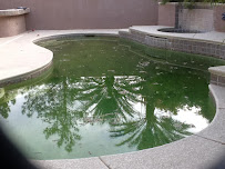 SoClean Pool Service - Photo 5 - Car repair in , Henderson