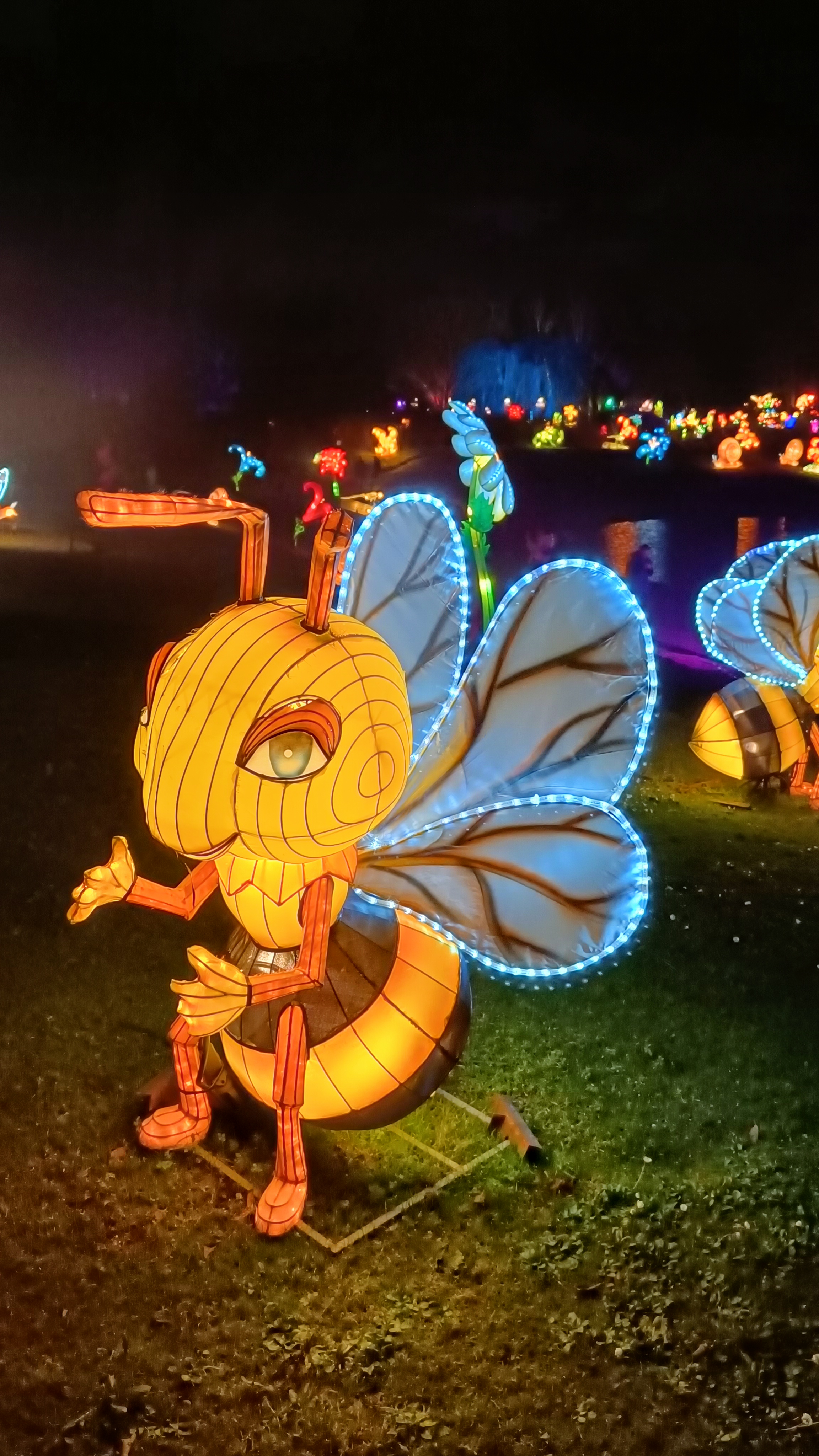 Photo n° 1 de l'avis de Nathalie.e fait le 06/01/2024 à 10:32