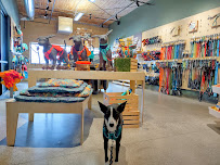 Ruffwear Retail Store - Photo 5 - Car repair in Bend, OR, Bend