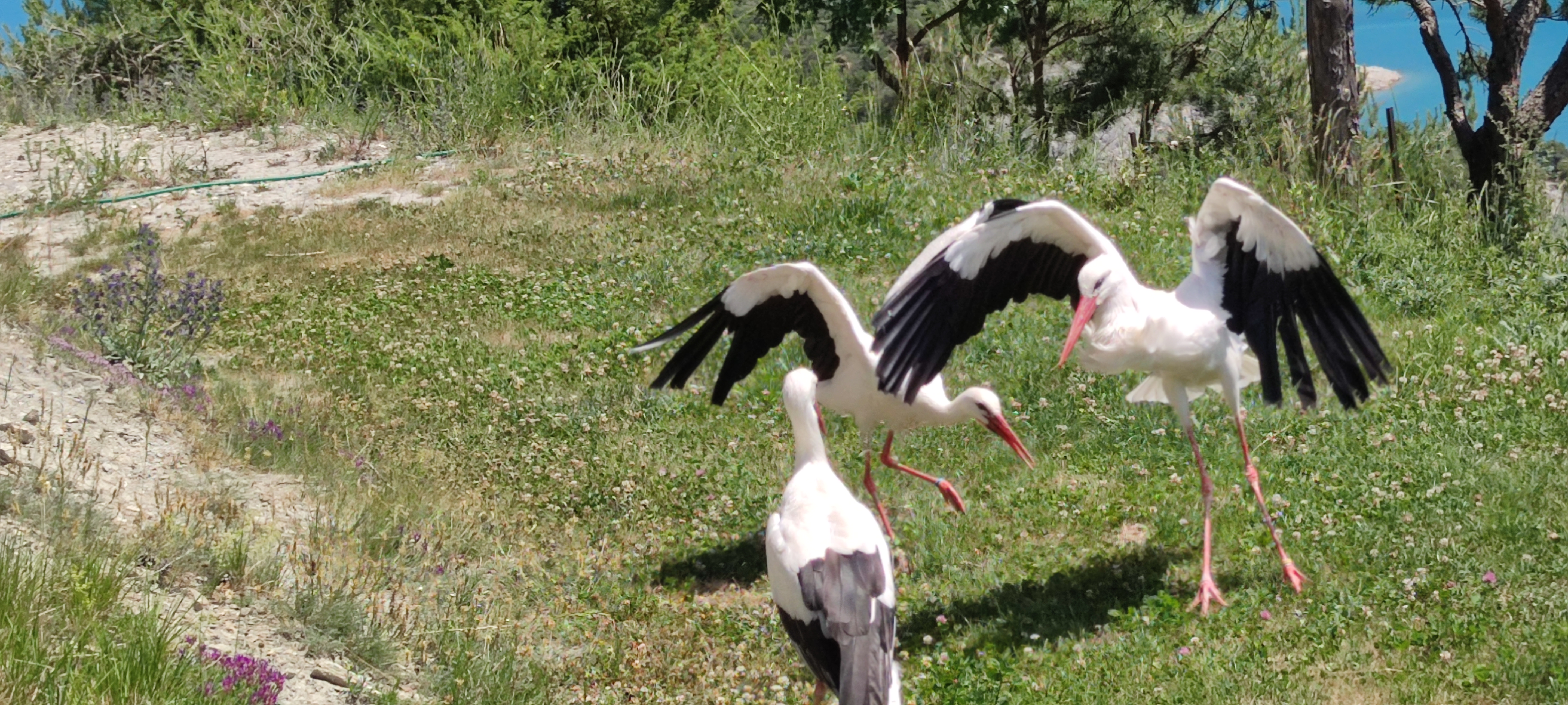 Photo n° 4 de l'avis de BERNARD.O fait le 25/06/2022 à 20:46