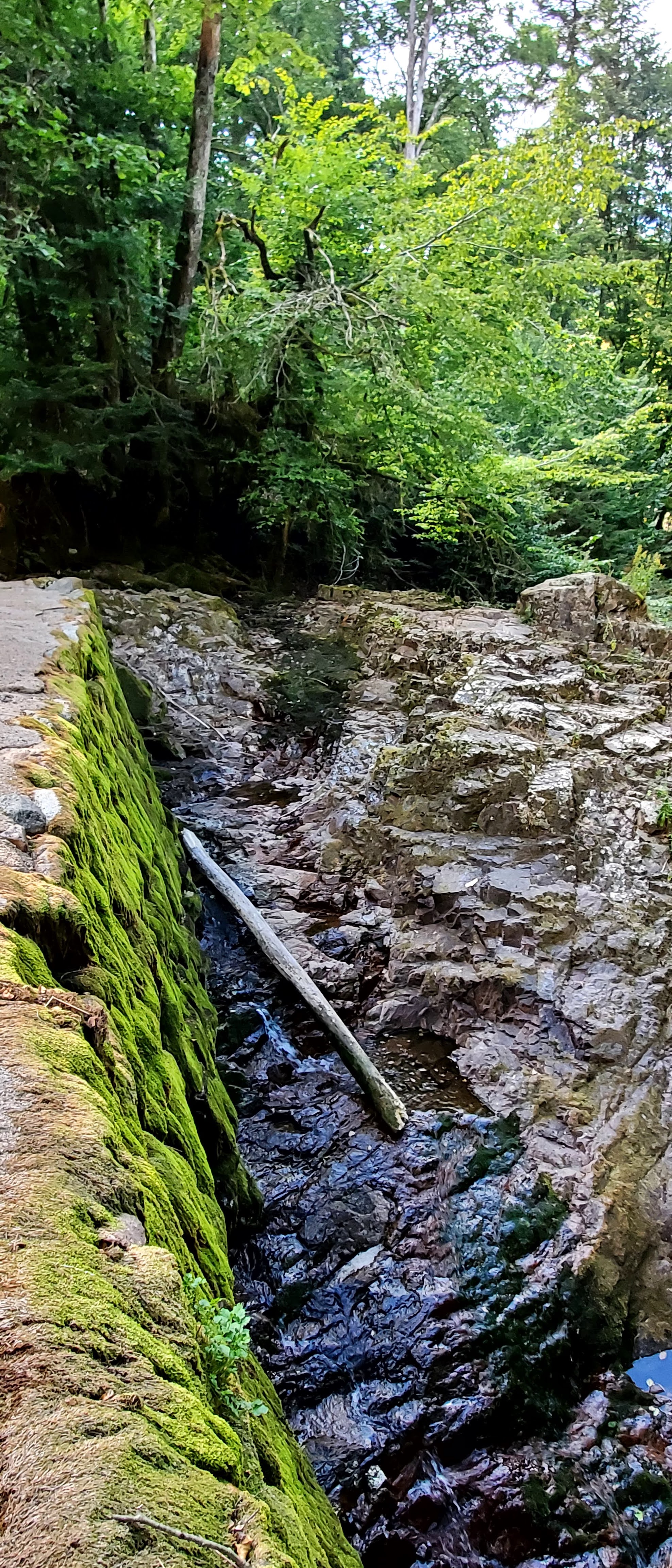 Photo n° 1 de l'avis de Denis.O fait le 09/08/2022 à 15:42