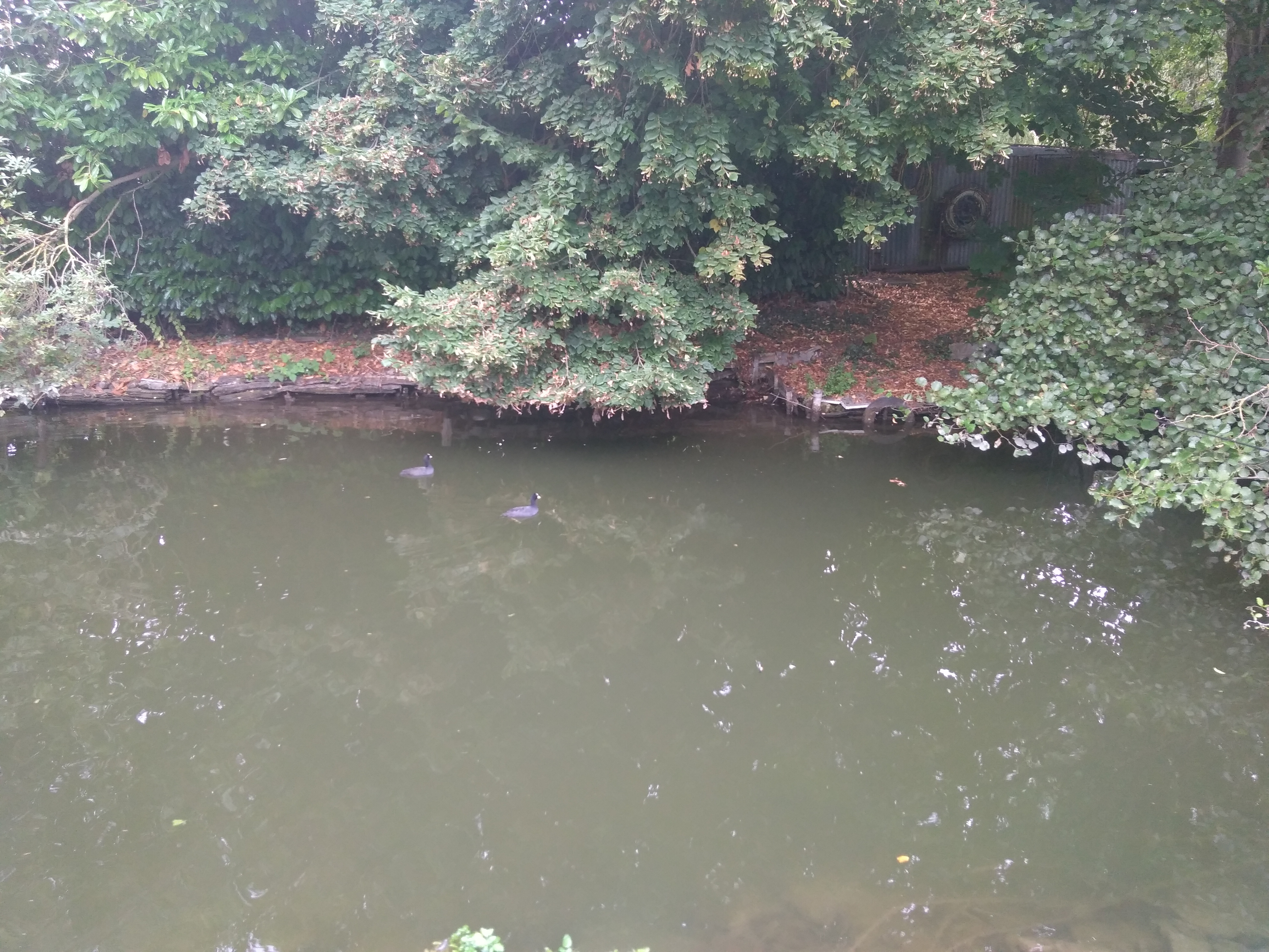 Photo n° 4 de l'avis de Virginie.5 fait le 08/09/2019 à 18:23