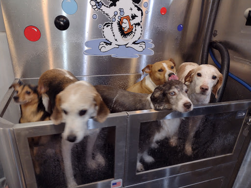 Pet Groomer «Belly scRubs Self Service Pet Wash», reviews and photos, 119 WV-34 #1, Hurricane, WV 25526, USA