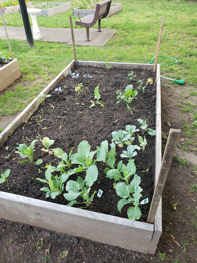 Florist «Metropolitan Plant and Flower Exchange», reviews and photos, 471 NJ-10, West Orange, NJ 07052, USA